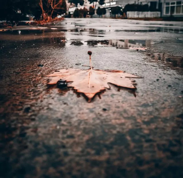 Hungerford slips trips and falls